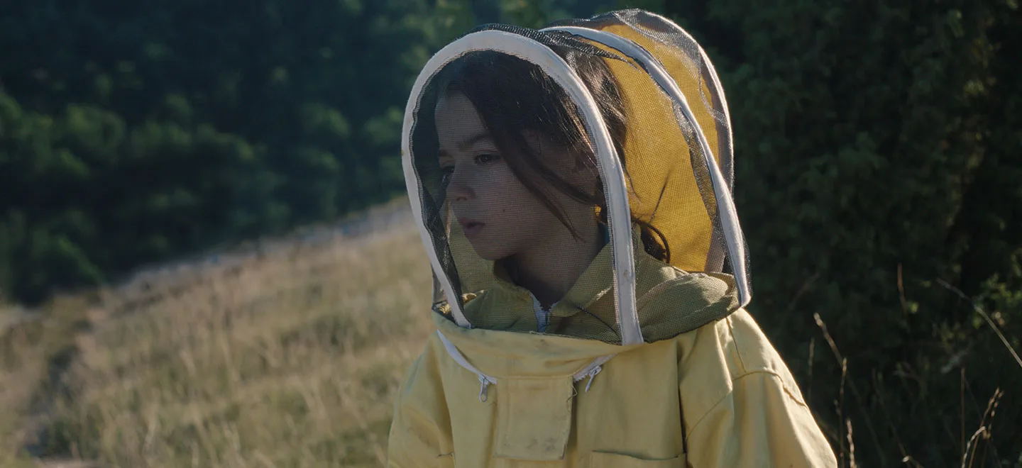 20,000 Species of Bees