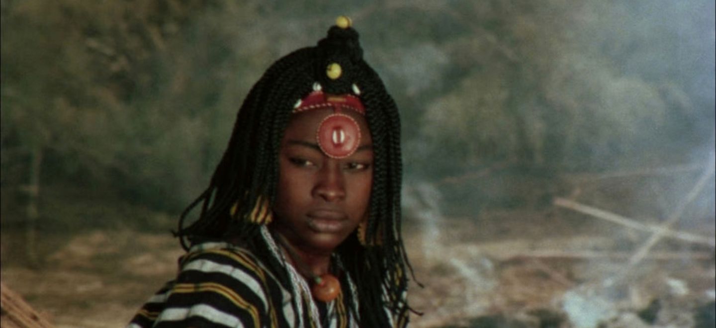 Twenty Years of African Cinema